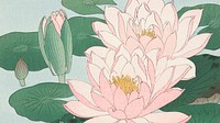 Ohara Koson wallpaper, Japanese desktop background, Water Lily Japanese print