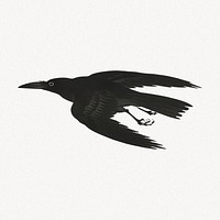 Ohara Koson's Crow, black bird vintage illustration