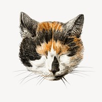 Cat's head with closed eyes collage element, vintage illustration psd