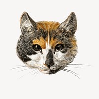 Cat's head collage element, Jean Bernard's vintage illustration psd