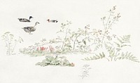Studieblad met planten en watervogels (study sheet with plants and waterfowl) by <a href="https://www.rawpixel.com/search/Joseph%20August%20Knip?sort=curated&amp;page=1">Joseph August Knip</a> (1777&ndash;1847). Original from The Rijksmuseum. Digitally enhanced by rawpixel.​​​​​
