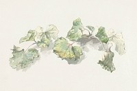 Studie van bladeren (study of leaves) by <a href="https://www.rawpixel.com/search/Joseph%20August%20Knip?sort=curated&amp;page=1">Joseph August Knip</a>  (1777&ndash;1847). Original from The Rijksmuseum. Digitally enhanced by rawpixel.​​​​​