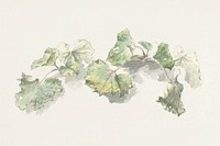 Studie van bladeren (study of leaves) by Joseph August Knip  (1777–1847). Original from The Rijksmuseum. Digitally enhanced by rawpixel.