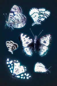 Butterfly outer glow vintage illustration set template