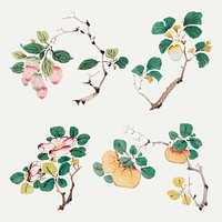 Vintage botanical element vector art print set, remixed from artworks by Hu Zhengyan