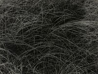 Equivalent (1927) by Alfred Stieglitz. Original from The Art Institute of Chicago. Digitally enhanced by rawpixel.