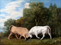 Bulls Fighting (1786) painting in high resolution by George Stubbs. Original from The Yale University Art Gallery. Digitally enhanced by rawpixel.