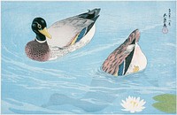 Ducks (1920) print in high resolution by Goyō Hashiguchi. Original from the Los Angeles County Museum of Art. Digitally enhanced by rawpixel.