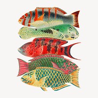 William Saville-Kent's fish collage element, vintage illustration psd