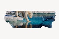 Polar bear, ripped washi tape, wildlife image