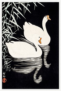 White Chinese Geese Swimming by Reeds by (1928) Ohara Koson. Original from the Los Angeles County Museum of Art. Digitally enhanced by rawpixel.