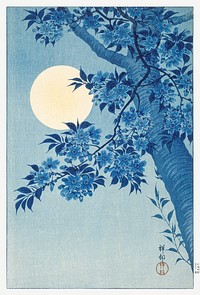 Blossoming Cherry on a Moonlit Night (ca. 1932) by <a href="https://www.rawpixel.com/search/Ohara%20Koson?sort=curated&amp;page=1">Ohara Koson</a> (1877&ndash;1945). Original from the Los Angeles County Museum of Art. Digitally enhanced by rawpixel.