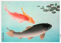 Common and Golden Carp (1935) by <a href="https://www.rawpixel.com/search/Ohara%20Koson?sort=curated&amp;page=1">Ohara Koson</a>. Original from the Los Angeles County Museum of Art. Digitally enhanced by rawpixel.