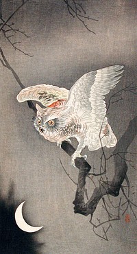 Scops Owl in Moonlight by Ohara Koson (1877–1945). Original from the Los Angeles County Museum of Art. Digitally enhanced by rawpixel.