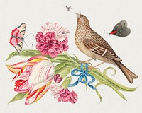 Vintage bird and flowers psd illustration, remixed from the 18th-century artworks from the Smithsonian archive.