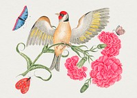 The 18th century illustration of a brown bird with red head on carnation stem with butterflies. Original from The Smithsonian. Digitally enhanced by rawpixel.