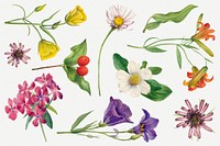 Colorful blooming flowers psd botanical illustration set, remixed from the artworks by <a href="https://www.rawpixel.com/search/Mary%20Vaux%20Walcott?sort=curated&amp;page=1" target="_blank">Mary Vaux Walcott</a>