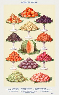 Dessert Fruit: Apricots, White Cherries, Black Cherries, White, Black and Red Currants, Melon, Strawberries, Raspberries, Black Diamond Plums, Greengages, and Victoria Plums from Mrs. Beeton's Book of Household Management. Digitally enhanced from our own 1923 edition. 