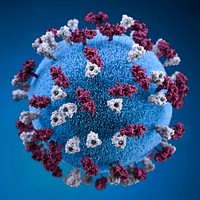 A 3D graphic representation of a spherical-shaped, measles virus particle, that was studded with glycoprotein tubercles.