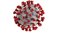 Ultrastructural morphology shown by coronavirus. Original image sourced from US Government department: Public Health Image Library, <a href="https://www.rawpixel.com/search/cdc?sort=curated&amp;page=1">Centers for Disease Control and Prevention</a>. Under US law this image is copyright free, please credit the government department whenever you can&rdquo;.