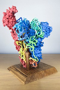 3D Print of MERS-CoV Spike. Original image sourced from US Government department: The National Institute of Allergy and Infectious Diseases. Under US law this image is copyright free, please credit the government department whenever you can”.