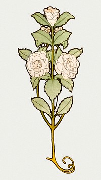 Art nouveau white rose psd, remixed from the artworks of Alphonse Maria Mucha