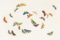 Vintage butterfly. Digitally enhanced from our own original 1904 edition of Kamisaka Sekka's Cho senshu (One Thousand Butterflies).