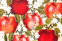 Red apple blossom background, vintage illustration psd