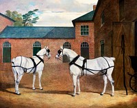 Grey carriage horses in the coachyard at Putteridge Bury, Hertfordshire (1838) painting in high resolution by John Frederick Herring. Original from Yale University Art Gallery. Digitally enhanced by rawpixel.