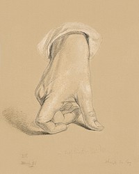 Study of Right Hand of Alexander Hamilton (1851) by daniel huntington. Original from The Smithsonian. Digitally enhanced by rawpixel.