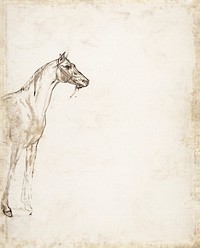 Study of a Horse (ca. 1817&ndash;1818) drawing in high resolution by Th&eacute;odore Gericault. Original from The MET Museum. Digitally enhanced by rawpixel.