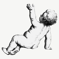 Cute cherub vector illustration, remix from artworks by Wenceslaus Hollar