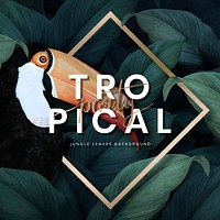 Tropical macaw on a golden frame vector