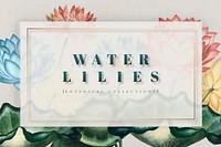 Colorful botanical water lilies frame vector