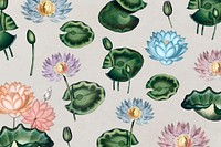 Botanical water lilies collection vector