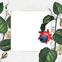 The winged passion flower square frame vector