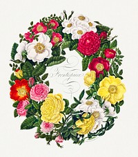 A Wreath of Roses (1799) by Mary Lawrence.  Original from The Cleveland Museum of Art. Digitally enhanced by rawpixel.