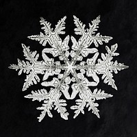 Wilson Bentley's Snowflake 920 (ca. 1890) detailed photograph of snowflakes in high resolution by Wilson Alwyn Bentley. Original from The Smithsonian. Digitally enhanced by rawpixel.
