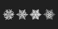 Winter snowflake vector macro photography set, remix of art by Wilson Bentley