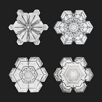 Winter snowflake vector macro photography set, remix of art by Wilson Bentley