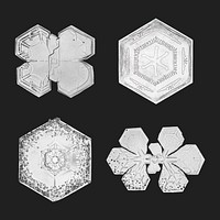 New year snowflake vector macro photography set, remix of art by Wilson Bentley