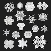 New year snowflake vector macro photography set, remix of art by Wilson Bentley