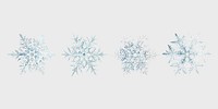 New year snowflake vector macro photography set, remix of art by Wilson Bentley