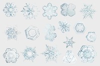 New year snowflake vector macro photography set, remix of art by Wilson Bentley
