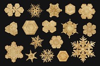 Winter gold snowflake vector set macro photography, remix of art by Wilson Bentley
