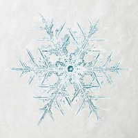 Winter snowflake Christmas ornament macro photography, remix of photography by Wilson Bentley