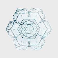 New year snowflake vector macro photography, remix of art by Wilson Bentley