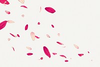 Pink flower petals background, copy space, ukiyo e floral art