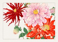 Dahlia flower woodblock painting.  Digitally enhanced from our own 1917 edition of Seiyô SÔKA ZUFU by Tanigami Kônan.