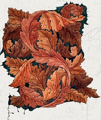 <a href="https://www.rawpixel.com/search/William%20Morris?sort=curated&amp;premium=free&amp;page=1">William Morris</a>&#39;s Acanthus (1879-1881) famous artwork. Original from The Birmingham Museum. Digitally enhanced by rawpixel.
